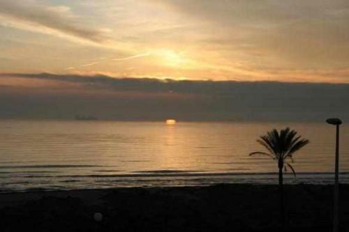 Apartamento �tico Las Minvas 1� Linea De Playa