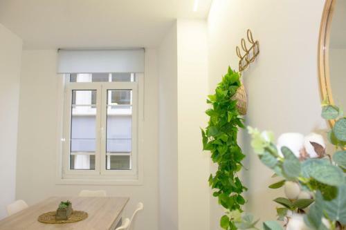 Apartamento Piso Reci�n Reformado Galiano