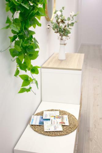 Apartamento Piso Reci�n Reformado Galiano