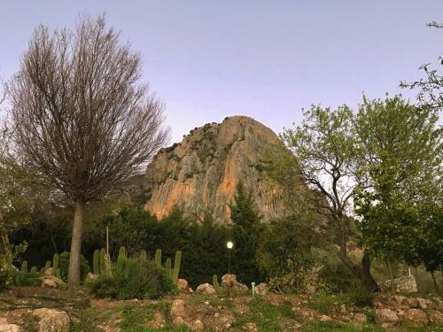 El Valle Dorado