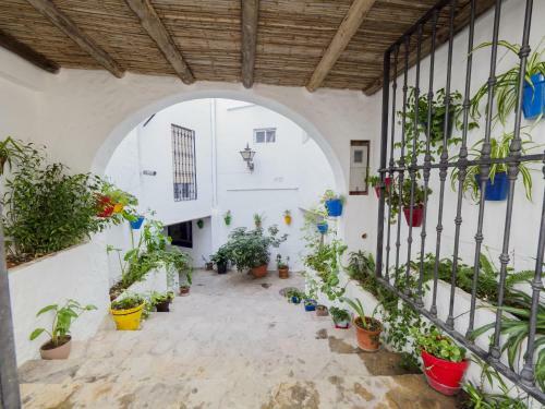 Cubo's El Rincon Del Gastor