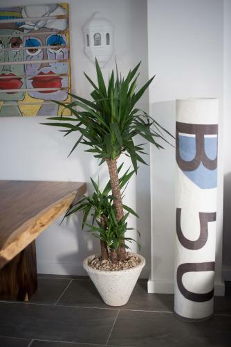 Apartamento Drago Homes