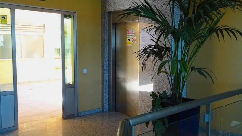 Fuertelena Corralejo Soul Apartment