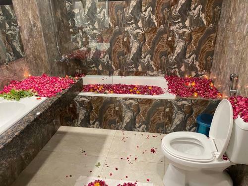 Hostal Zaib Guest House E-11 Islamabad