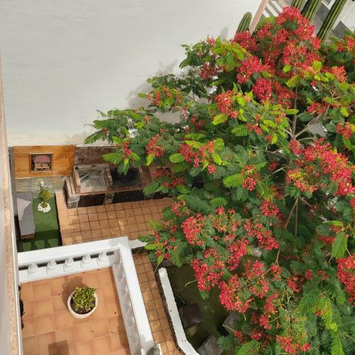 Albergue Corralejo Garden&relax