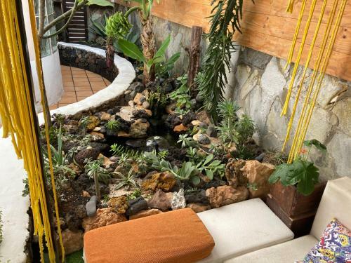Albergue Corralejo Garden&relax