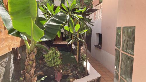 Albergue Corralejo Garden&relax