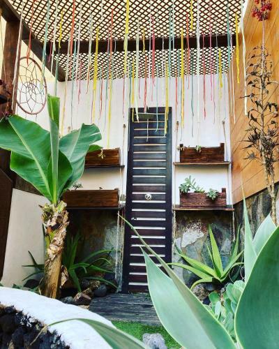 Albergue Corralejo Garden&relax