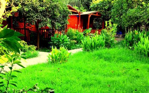 Hostal No:1281 Boutique Hotel
