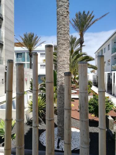Apartment Naturaleza