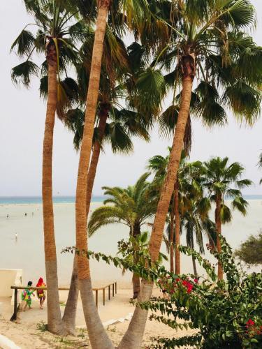 Apartamento Corralejo Sun 114
