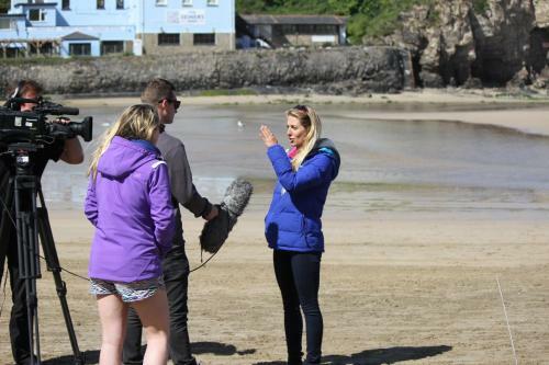 The Ohana Beach Apartment