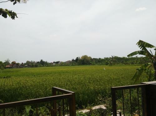 Green Avenue Homestay