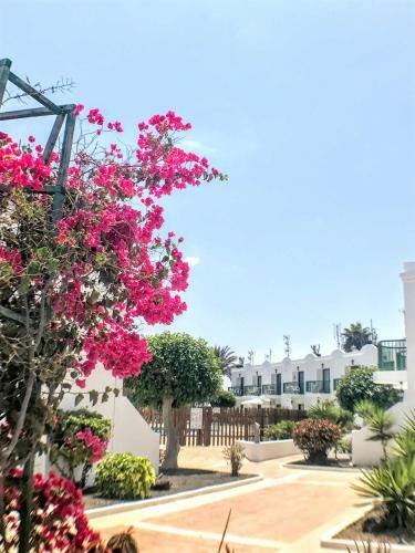 Apartamento Aurora Residencial San Valentin Corralejo