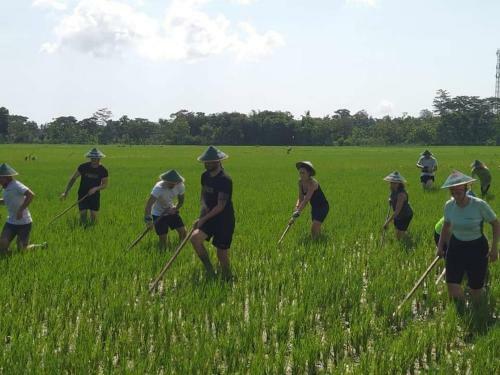 Hostal Narti Homestay