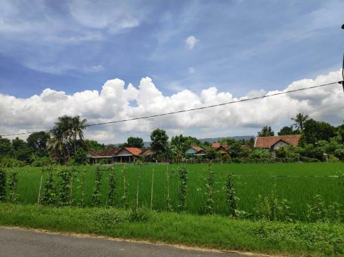 Hostal Narti Homestay