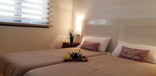 Villa Tamarindo 5