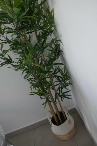 Apartamento Corralejo Sun 312