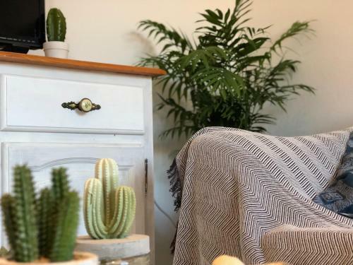 Apartamento Cactus Lodge