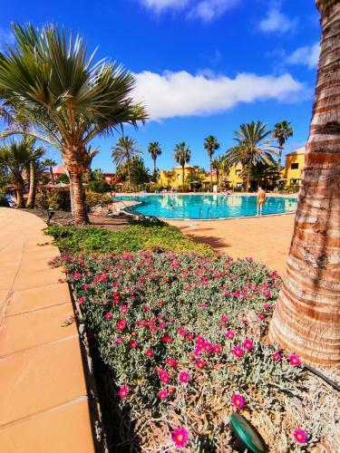 Apartamento Appartamento Spagnolo Oasis Tamarindo