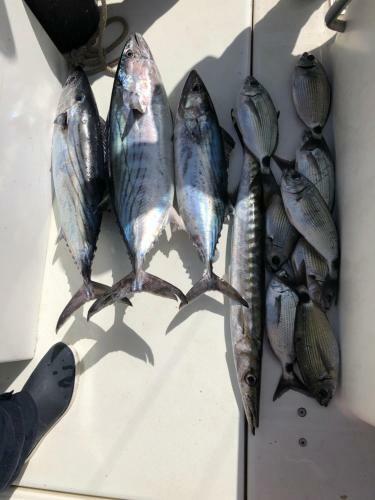 Apartamento Patio Blanco,corralejo