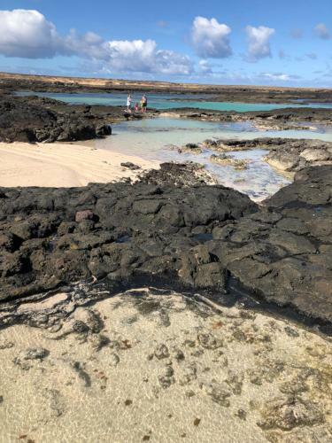 Apartamento Patio Blanco,corralejo