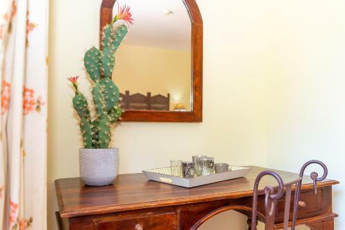 Apartamento Blu Gardenia