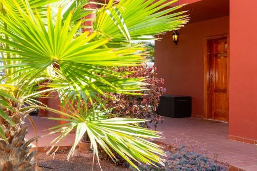 Apartamento Blu Gardenia