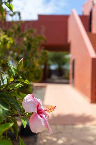 Apartamento Blu Gardenia