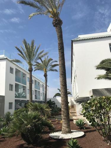 Apartamento Appartement Vista Bristol 50b