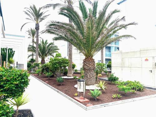 Apartamento 51e-scape