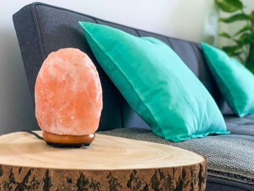Apartamento Hibiscus Studio