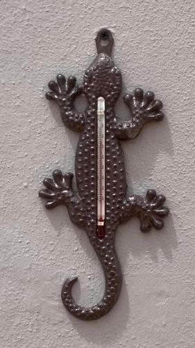 Apartamento Gran Terraza