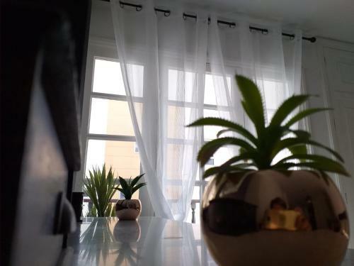 Apartamento Loft 113