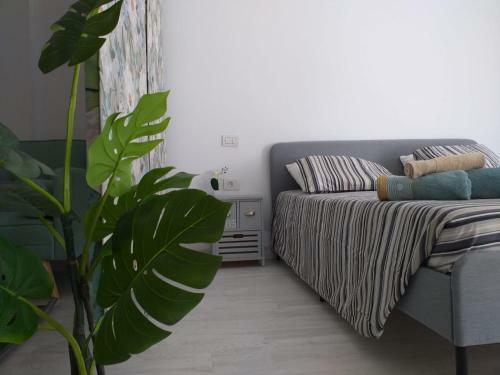 Apartamento Tropical Loft