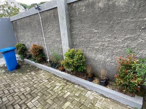 Villa Oasis Penthouse In Rice Field