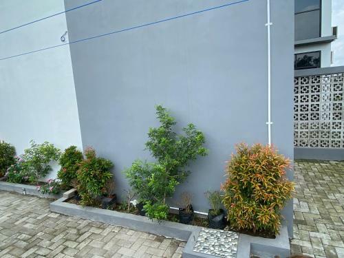 Villa Oasis Penthouse In Rice Field