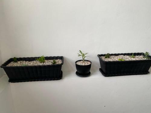 Villa Oasis Penthouse In Rice Field