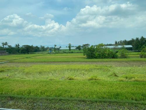 Villa Oasis Penthouse In Rice Field