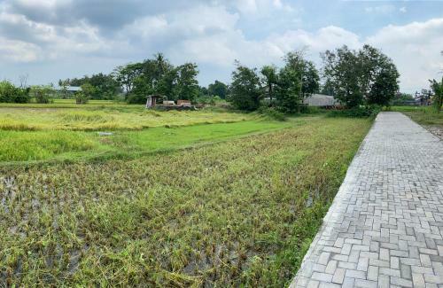 Villa Oasis Penthouse In Rice Field