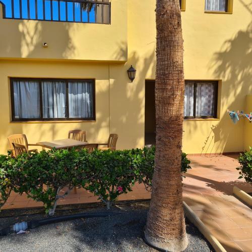 Apartamento Oasis Royal F217