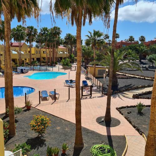 Apartamento Oasis Royal F320