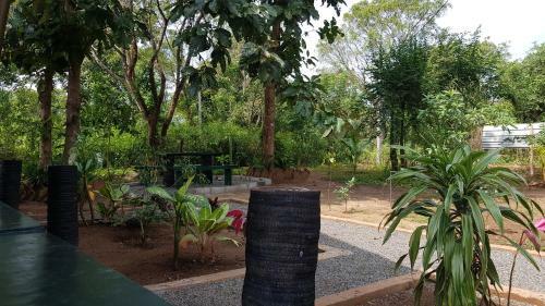 Hotel Evergreen Hostel