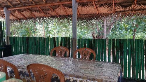Hotel Evergreen Hostel