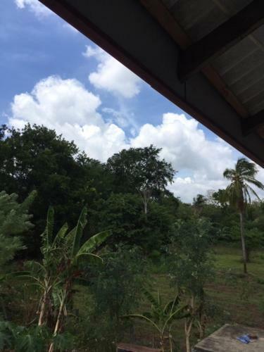 Villa Eco House