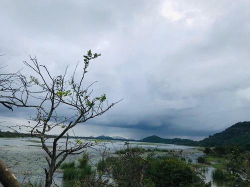 Elephant Lake