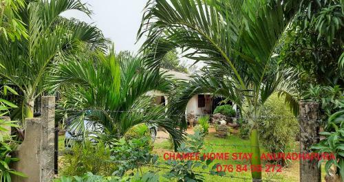 Chamee Homestay - Anuradhapura