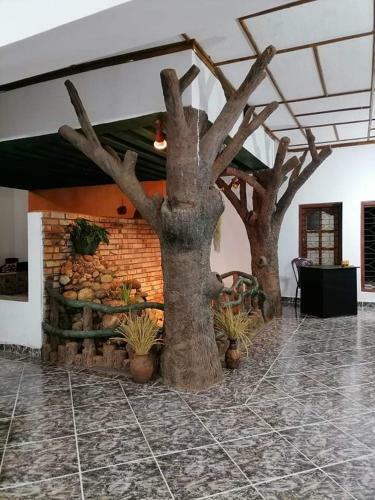 Apartamento Aamaney Resort - ???? ??? ????