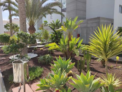 Apartamento Casa Bal�