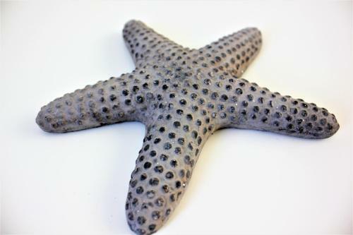 Brisa Marina Casa Junto Al Mar